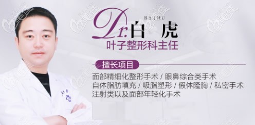 叶子整形医院白虎医生擅长的项目