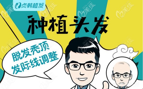 院内擅长发际线种植项目 院内擅长发际线种植项目