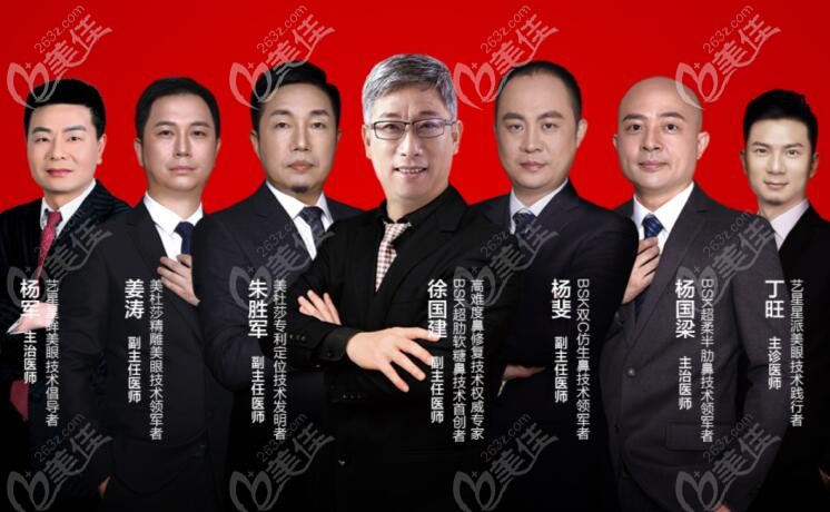 武汉艺星整形节坐诊医生团队