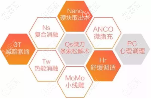 9大脂肪修复专门技术