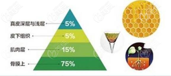 曹斯頔院长自体脂肪填充面部技术优势 曹斯頔院长自体脂肪填充面部技术优势