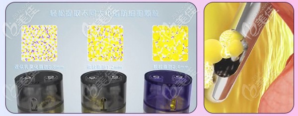 成都恒博天姿可分层提取脂肪