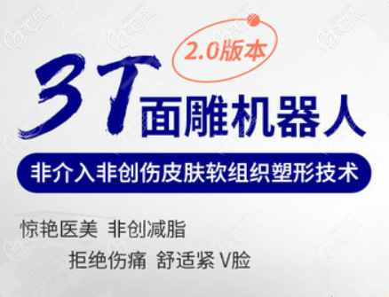 3T面雕机器人 3T面雕机器人