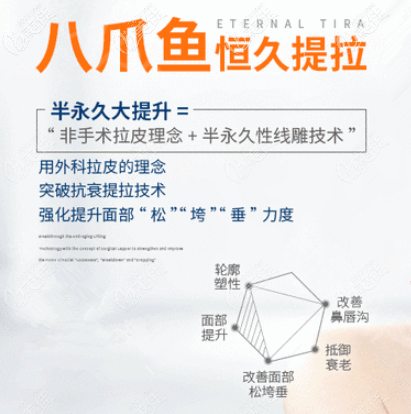 八爪鱼提升术 八爪鱼提升术