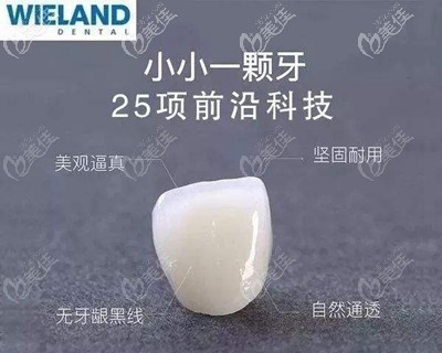 德国威兰德全瓷牙