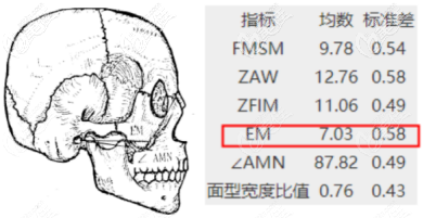 颧弓宽度的数值参考1 颧弓宽度的数值参考1
