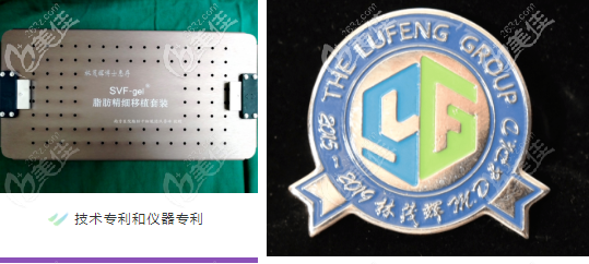 林茂辉SVF-gel专有技术参与研发凭证和专有仪器凭证