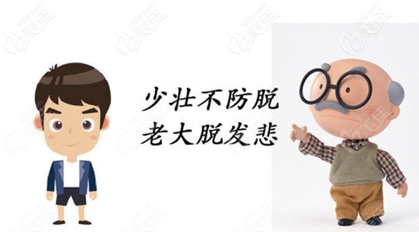 防脱要趁早、植发要趁早 防脱要趁早、植发要趁早