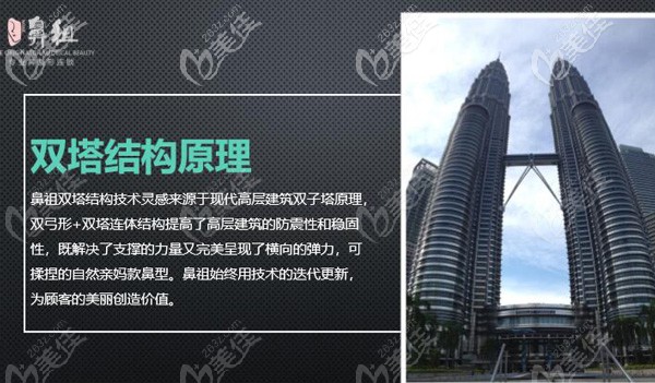 王院长采用的双子塔隆鼻原理