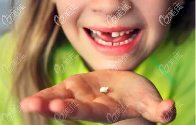 乳牙发育的重要性