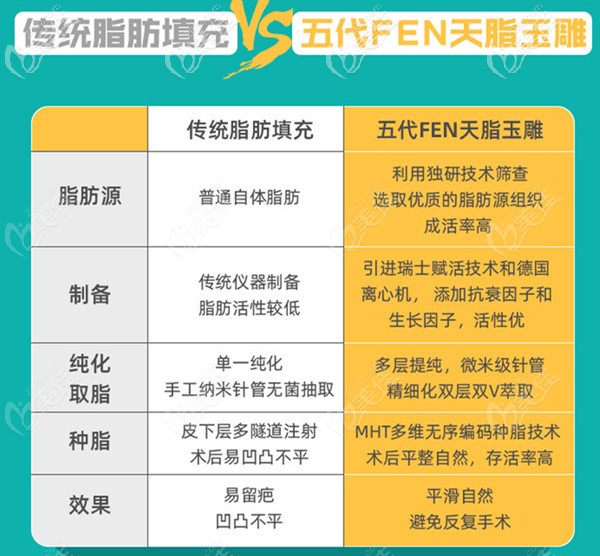 成都恒博天姿与传统脂肪填充技术对比