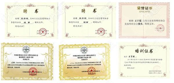 成都美辰星耀王宇琨医生荣誉