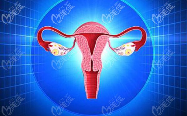 3D私密紧缩术效果好吗 3D私密紧缩术效果好吗