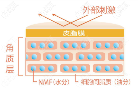 舒敏之星可以修复角质层