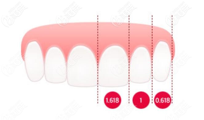 所谓的牙齿修复黄金比例