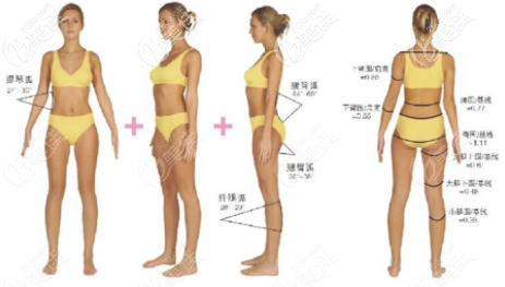 抽脂瘦身图 抽脂瘦身图
