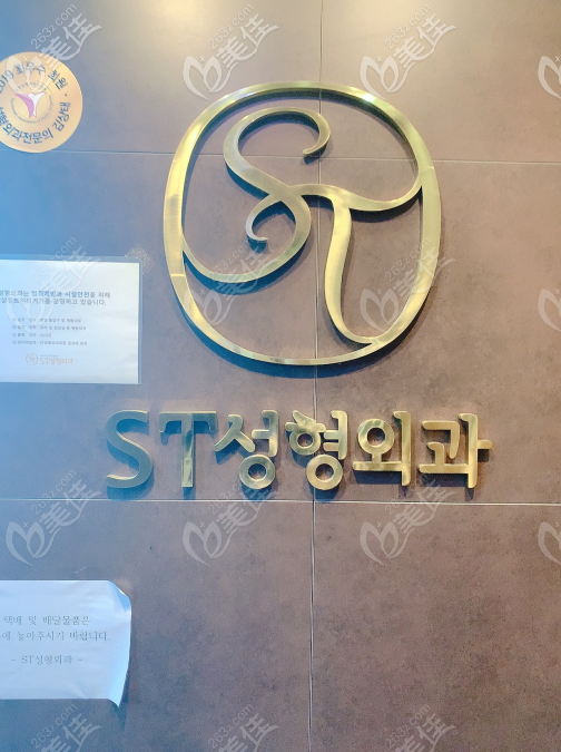 韩国ST整形外科 韩国ST整形外科