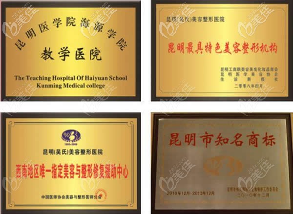 云南吴氏嘉美获得的荣誉 云南吴氏嘉美获得的荣誉