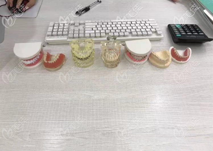 牙齿模型 牙齿模型