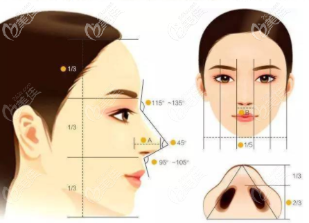 <!--<i data=20240703-sp></i>-->薇琳张浩鼻修复做的好