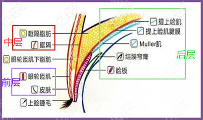 李院长7层超精缝合法