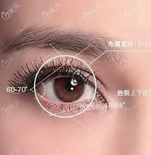 南阳维多利亚做双眼皮的价格 南阳维多利亚做双眼皮的价格