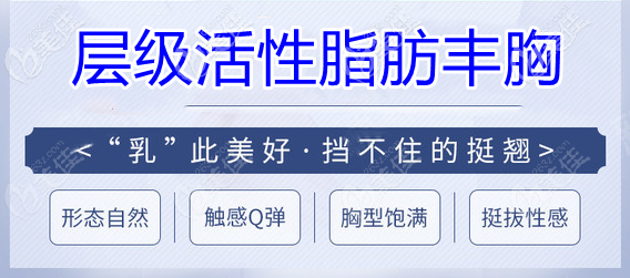 层级活性脂肪丰胸术