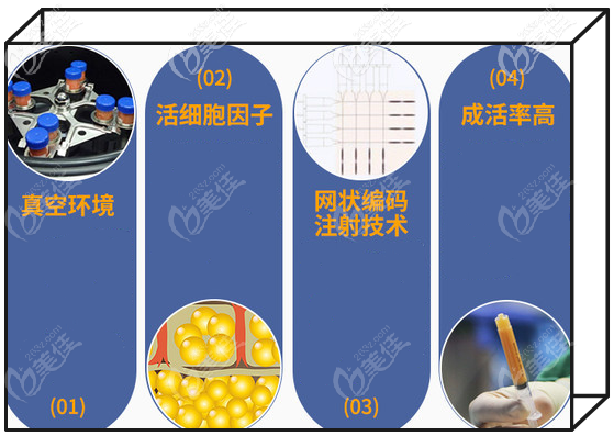 层级活性脂肪丰胸术的特色