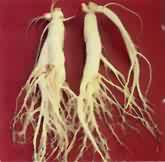 <!--<i data=20240710-sp></i>-->养生除皱必备 较经典的抗衰老抗皱中药