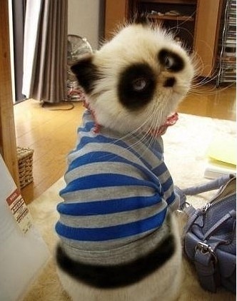 熬夜对皮肤的坏处 <!--<i data=20240710-sp></i>-->如何调理