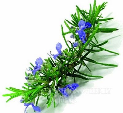 <!--<i data=20240710-sp></i>-->教你按摩去浮肿 告别肿泡眼大饼脸