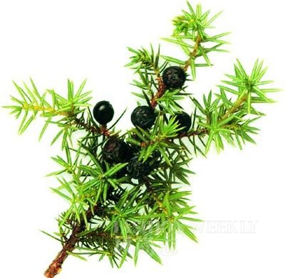 <!--<i data=20240710-sp></i>-->教你按摩去浮肿 告别肿泡眼大饼脸