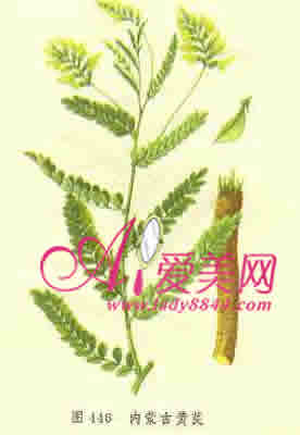 超实用单方中药美容DIY