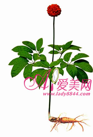 超实用单方中药美容DIY