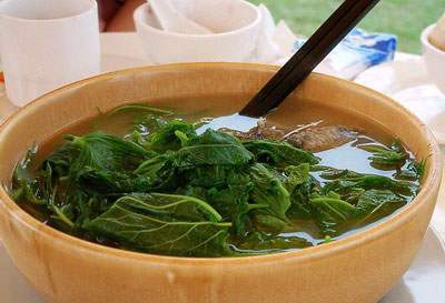 祛痘淡斑 桑叶的神奇效果