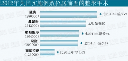 美国2012年实施例数位居前五的整形手术