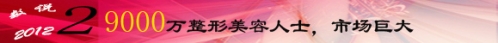 数说整形：2012年整容业七个闪光点