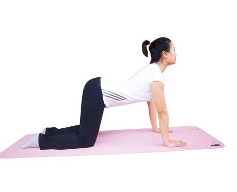 调整骨盆和脊柱的位置Step 1